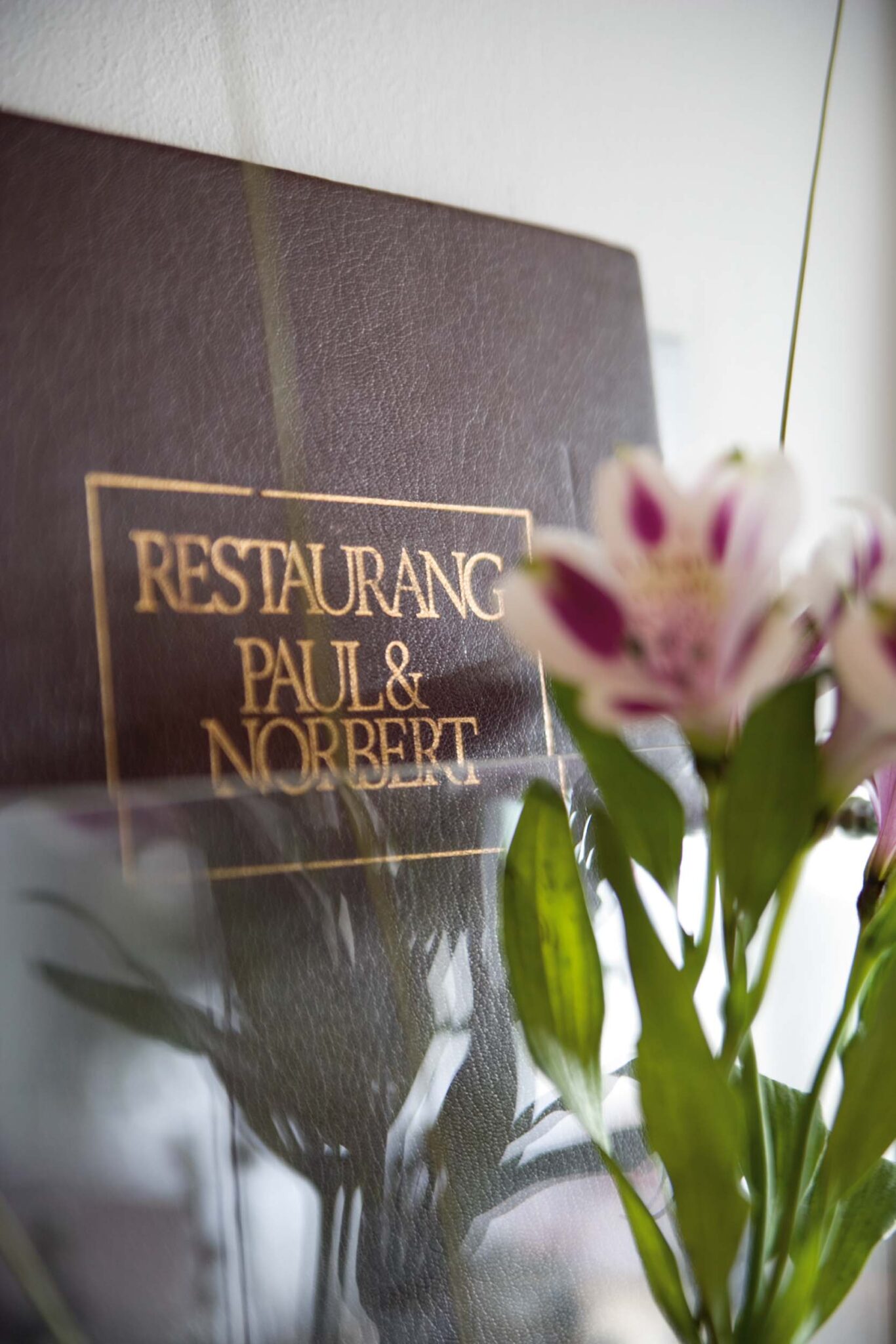 paul_norbert013