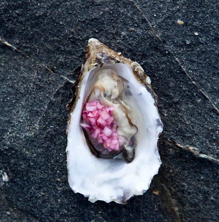 ostron_med_syrad_roedloek